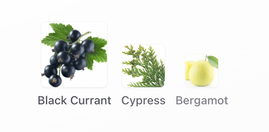 Lush - The Comforter Body Spray Sample/Decant